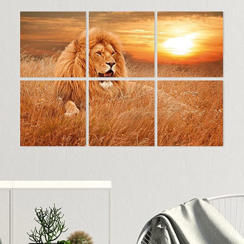Lion Art Wall Photo